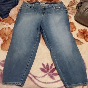 Torrid embroidered jeans
